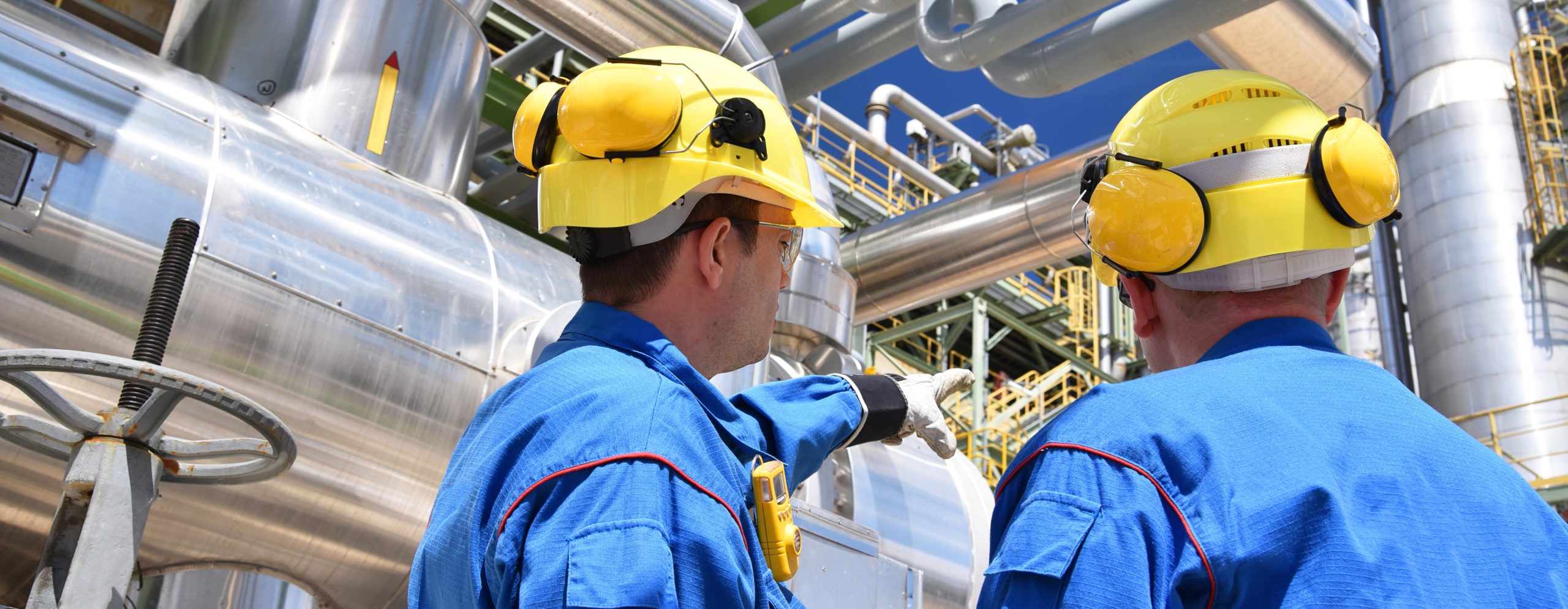 Maintenance & Integrity Management